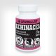 JAVALLAT® Echinacea  60 db