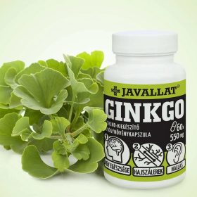 JAVALLAT® Ginkgo kapszula 60 db