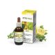 Natur Tanya E. FitoTree grapefruit, teafa, rozmaring és kakukkfű olaj - 30 ml