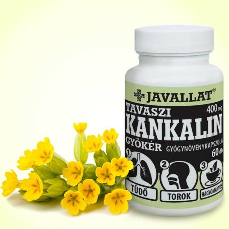 JAVALLAT® Tavaszi kankalin 60 db