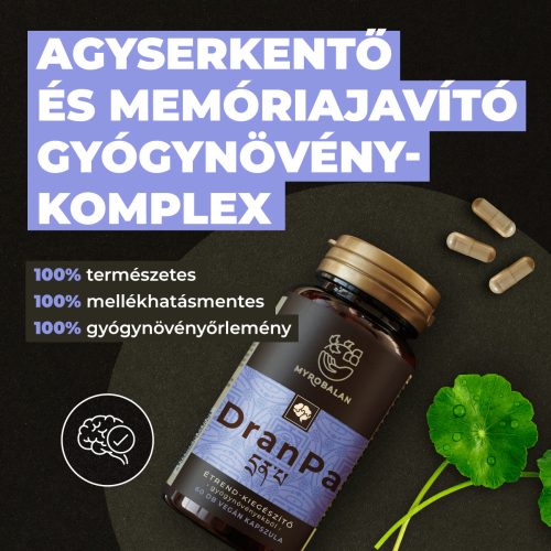 Myrobalan_Dranpa_agyserkento_es_memoriajavíto