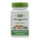 NATURES WAY ASTRAGALUS KAPSZULA 100 DB