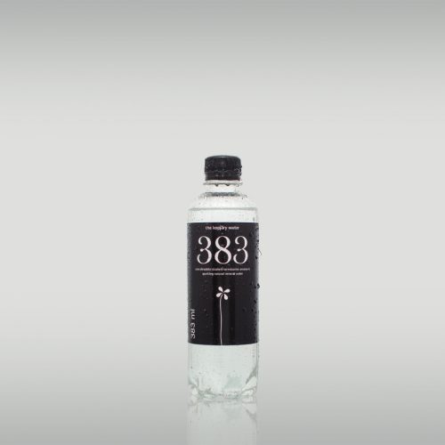 383 the kopjary water szén-dioxiddal dúsított ásványvíz 383 ml